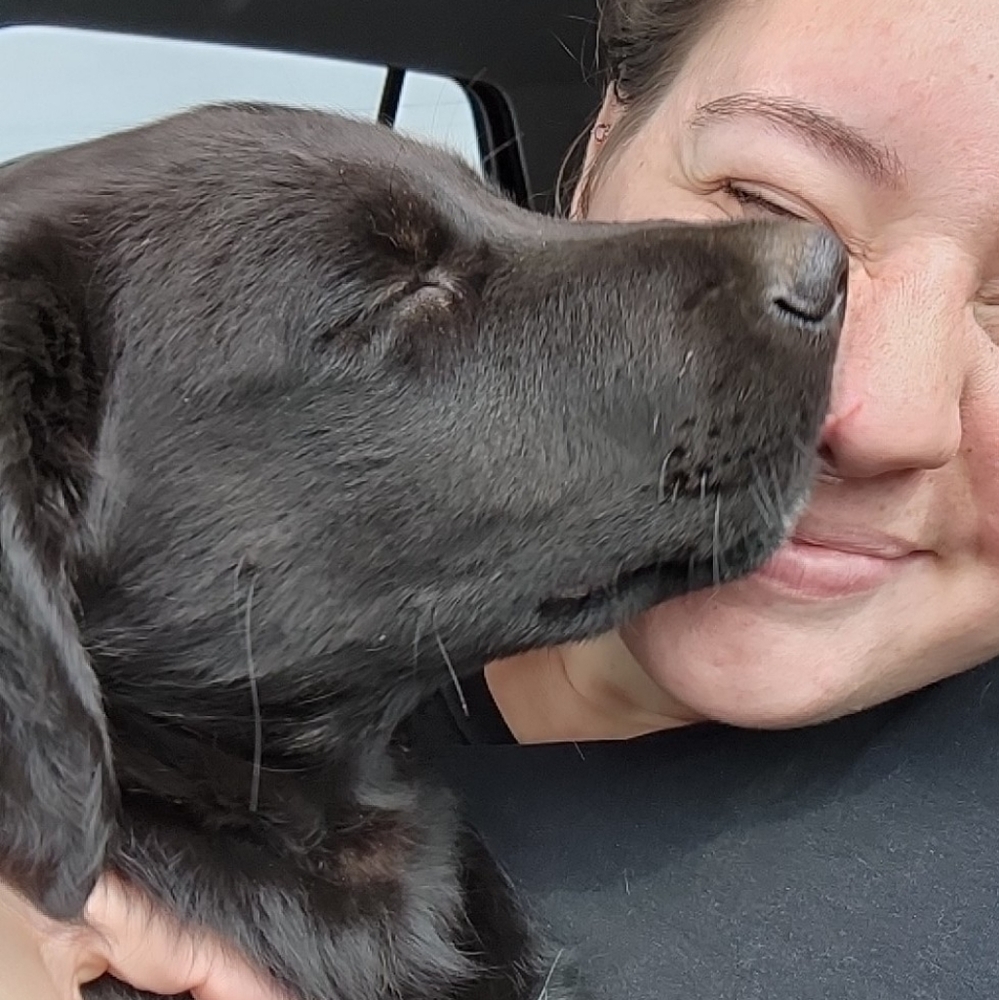 Meet your Posher, Marley